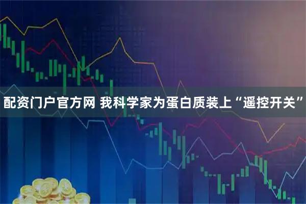 配资门户官方网 我科学家为蛋白质装上“遥控开关”